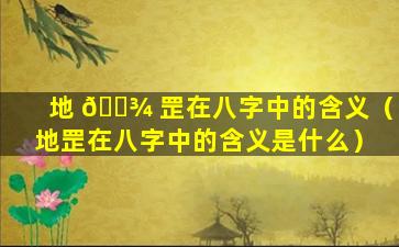 地 🌾 罡在八字中的含义（地罡在八字中的含义是什么）